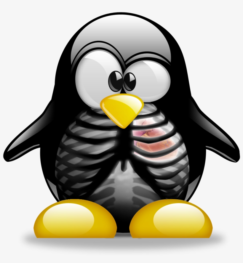 Tux X-ray - Tux, transparent png download