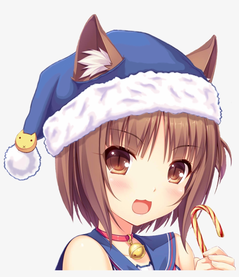 Beans With A Hat Transparent , - ネコ ぱら アズキ, transparent png download