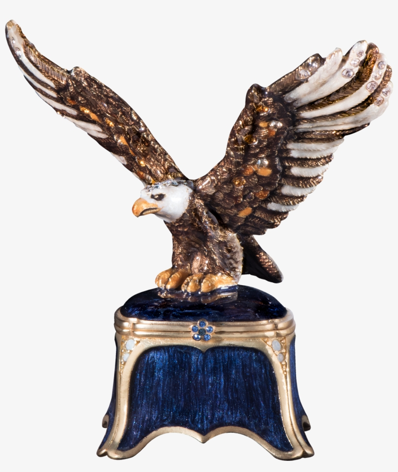 Hawk, transparent png download