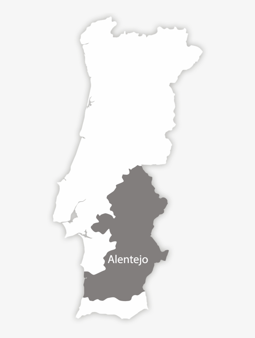 Vineyards - Portugal, transparent png download