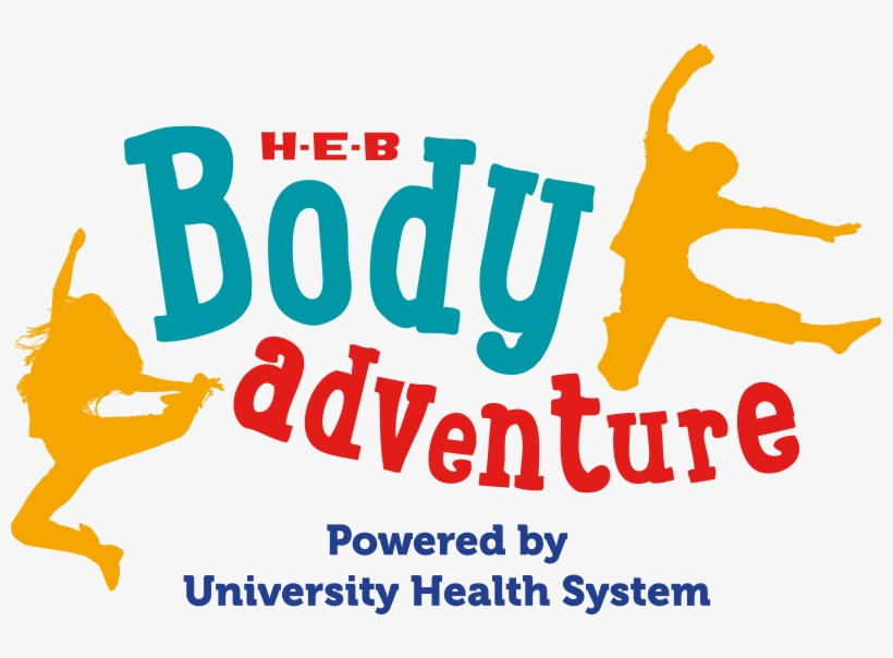 See What's Happening This Month At The H E B Body Adventure - Graphic Design, transparent png download