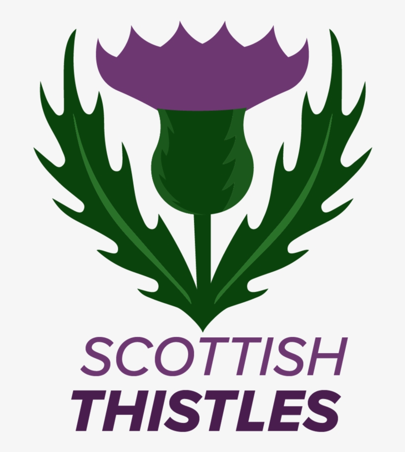 Team Logos And Names - Graphic Design, transparent png download