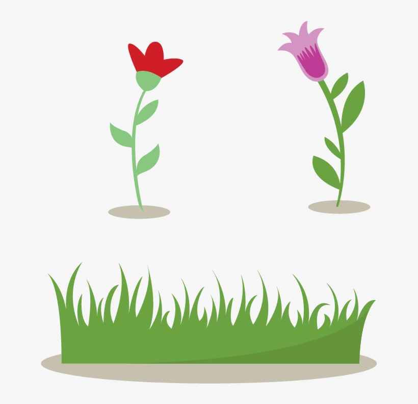 Shrub And Flowers Transprent - Illustration, transparent png download