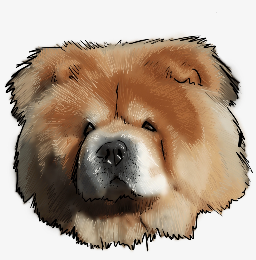 In Our Last Lunar New Year Show Of The Year, And We, transparent png download