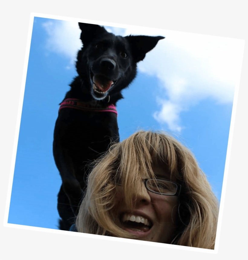 And 'doge', Depending On The Situation) - Dog Catches Something, transparent png download