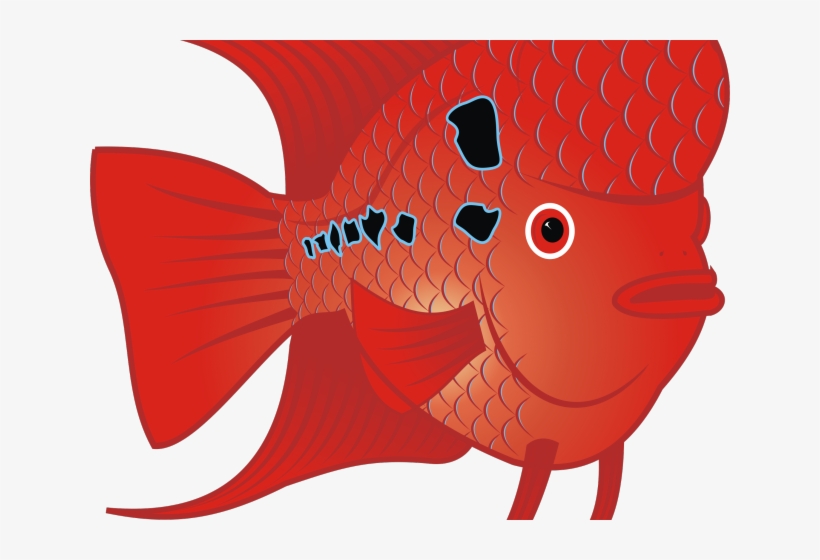 Gold Fish Clipart Fish Head - Fish Clip Art, transparent png download