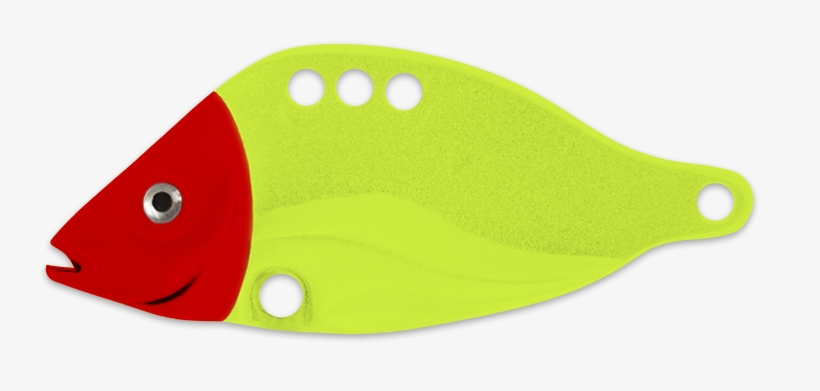 Red Head Sfc - Coral Reef Fish, transparent png download