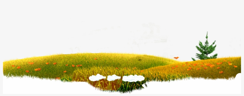 Masha Y El Oso Tips E Ideas - Field, transparent png download