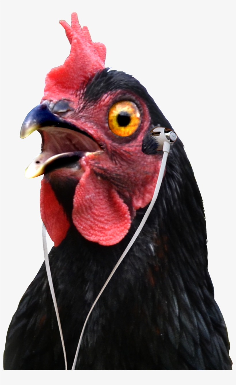 Podcast Episodesshop Amazon - Turkey, transparent png download