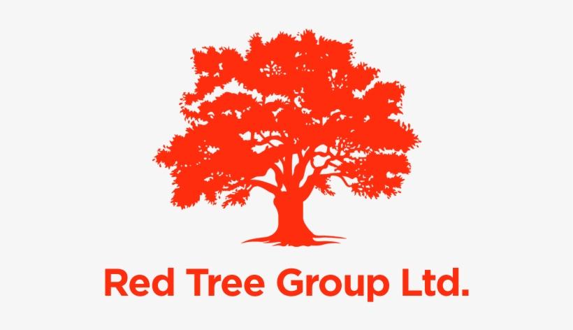 More Expertise Means Fewer Challenges - Tree, transparent png download