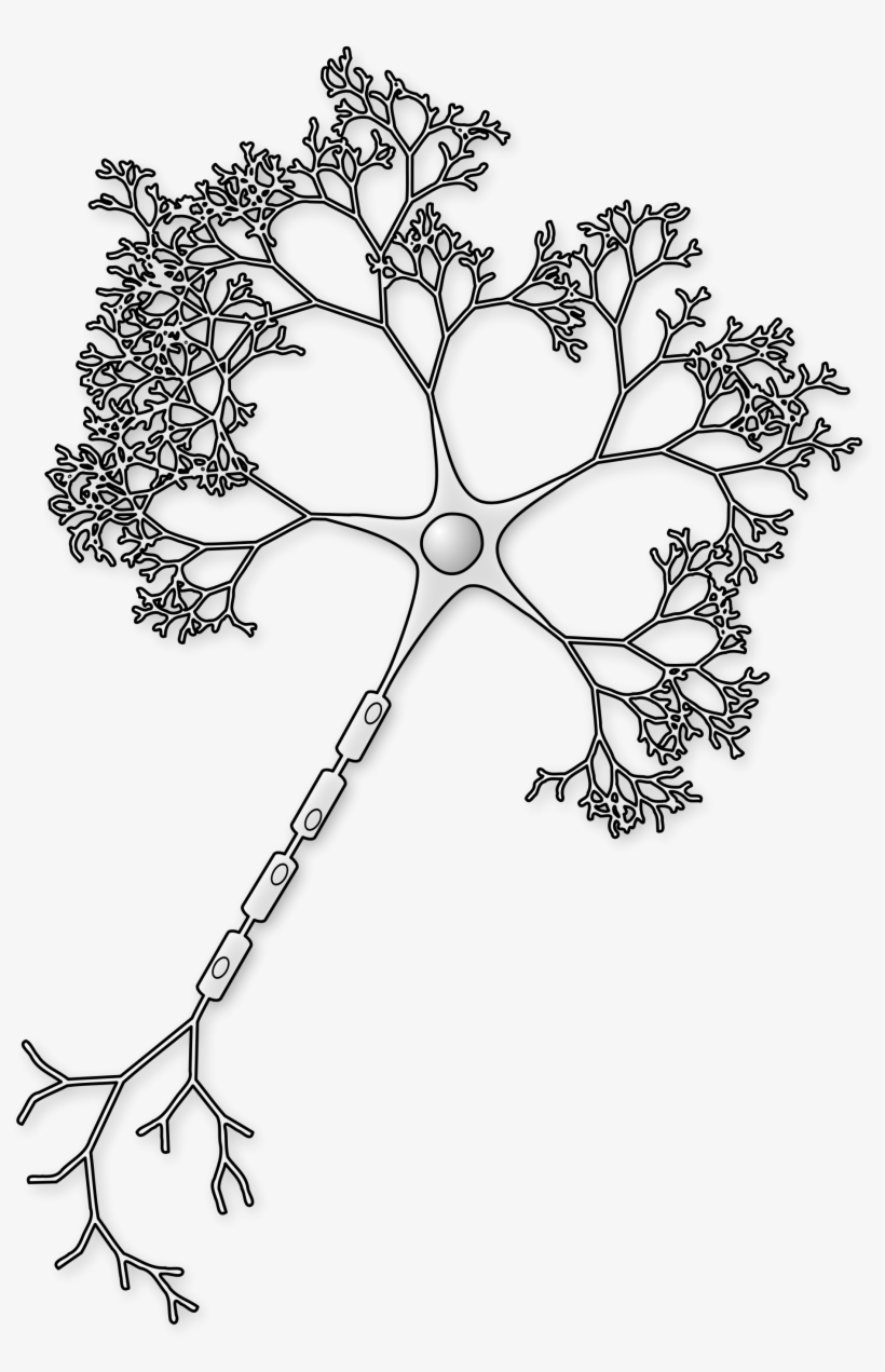2000 X 2828 3 - Tatuajes De Neuronas, transparent png download