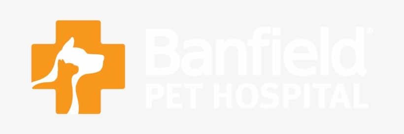 As A Family Business And Guided By Our Principles, - Graphic Design, transparent png download
