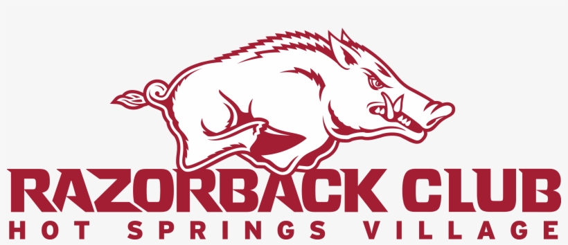 Boar, transparent png download