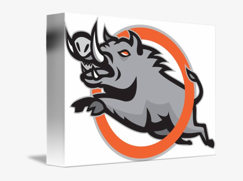 Wild Pig Jumping Circle - Wild Boar, transparent png download