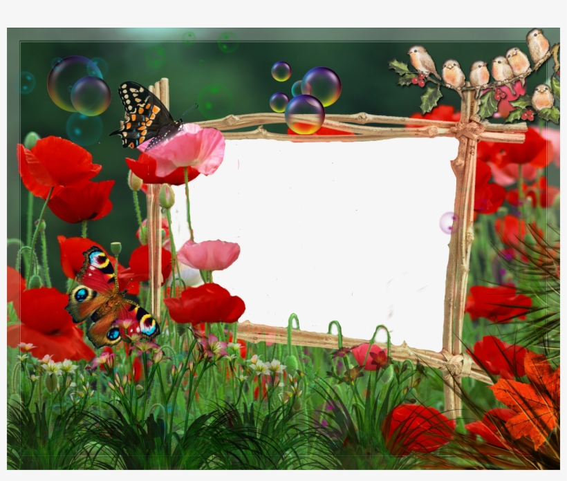Picture Frame, transparent png download