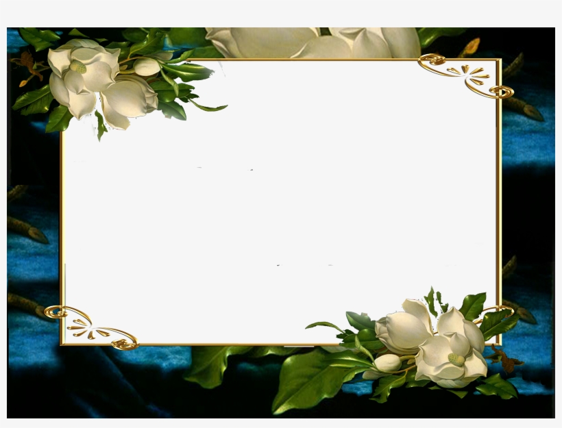 1600 X 1142 15 - Marcos Para, transparent png download