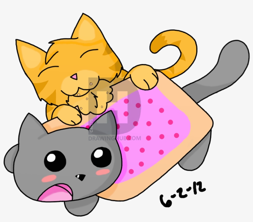 Nyan Cat Semi Normal Cat Drawing Allys Drawinghub Nyan - Cat, transparent png download