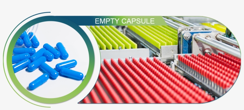 Transparent Capsule Di Gelatina Size - Pharmacy, transparent png download