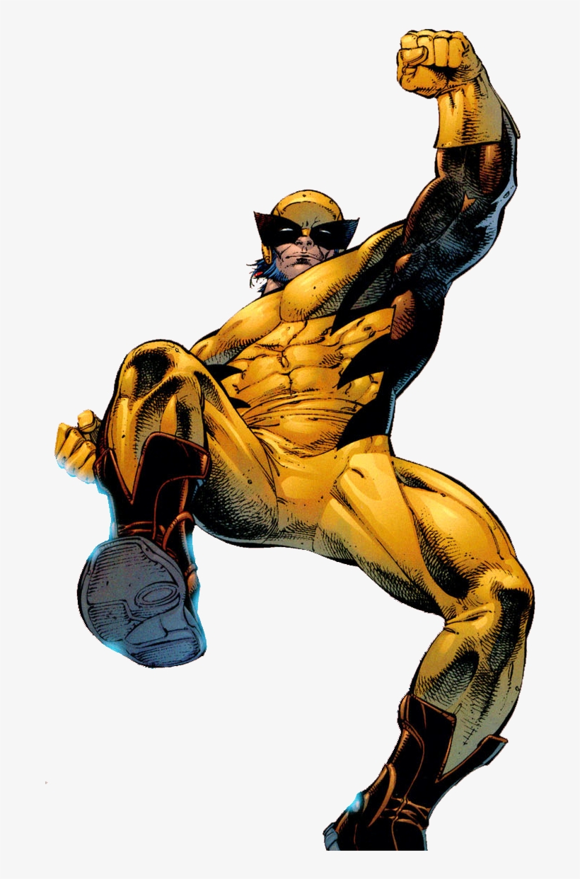 Wolverine - Gallery - Marvel Wolverine James Howlett, transparent png download