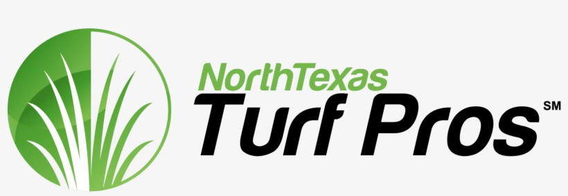 Create And Embed A Map On Your Website - Herbaceous Plant, transparent png download