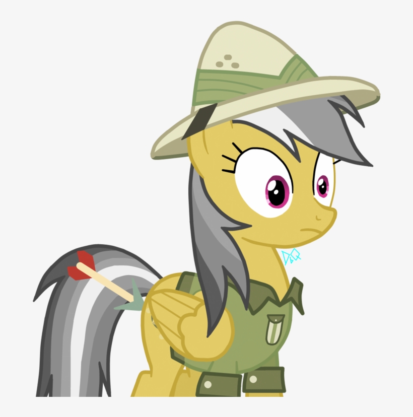 Friendship Is Magic Rainbow Dash, transparent png download