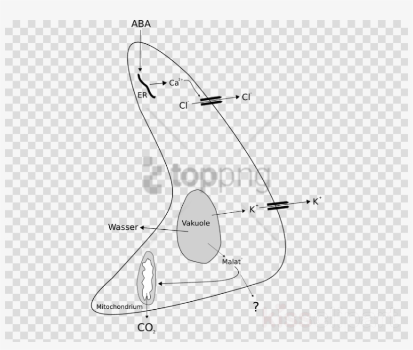 Free Png Boat Icon No Backgroundcomputer Icons Png - おじぎ イラスト 看護 師, transparent png download