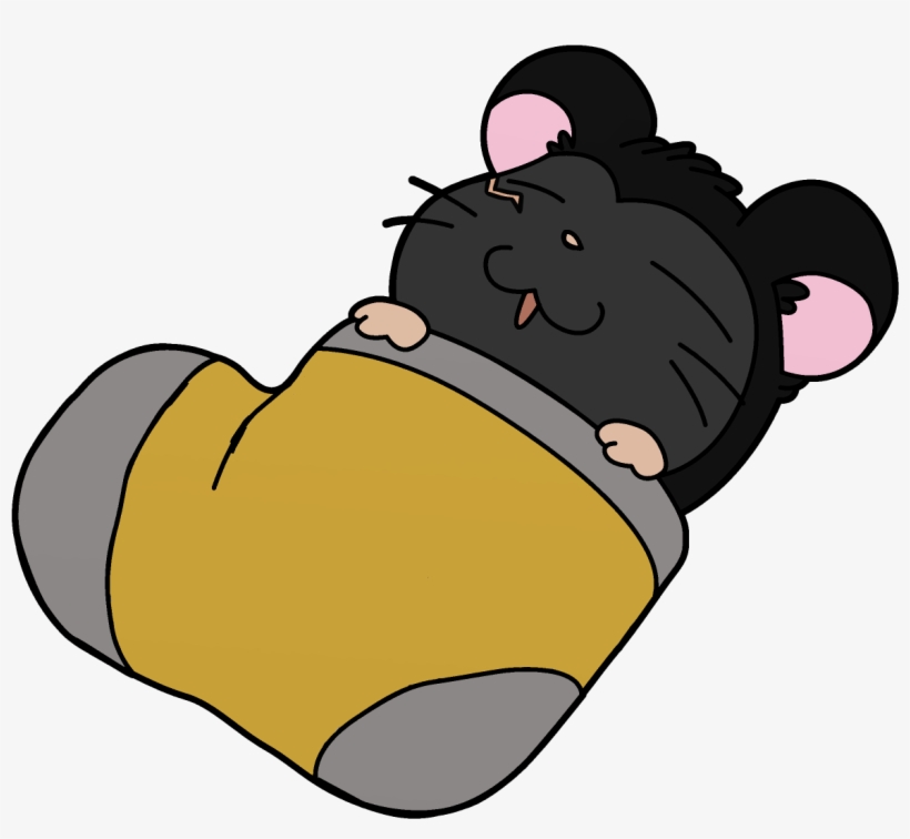 I Tried To Make Some Cute Recolors ~ 🐹, transparent png download