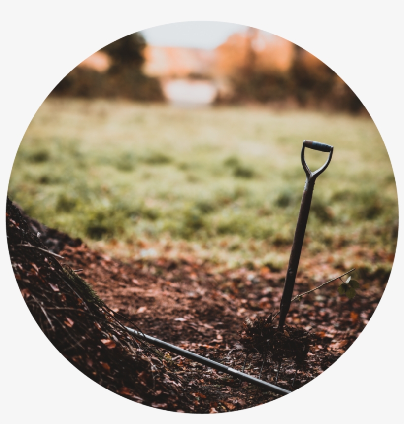 Tree Planting-01 - Grass, transparent png download