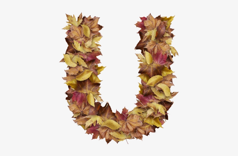 Letter U From Dry Leaves - Prince Of Wales Feathers, transparent png download