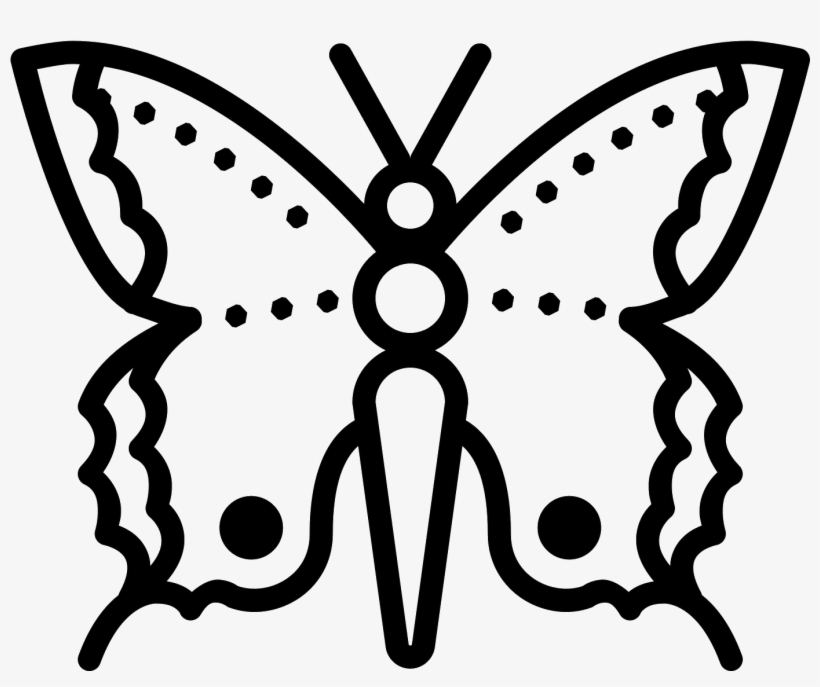 1600 X 1600 2 - Swallowtail Butterfly, transparent png download