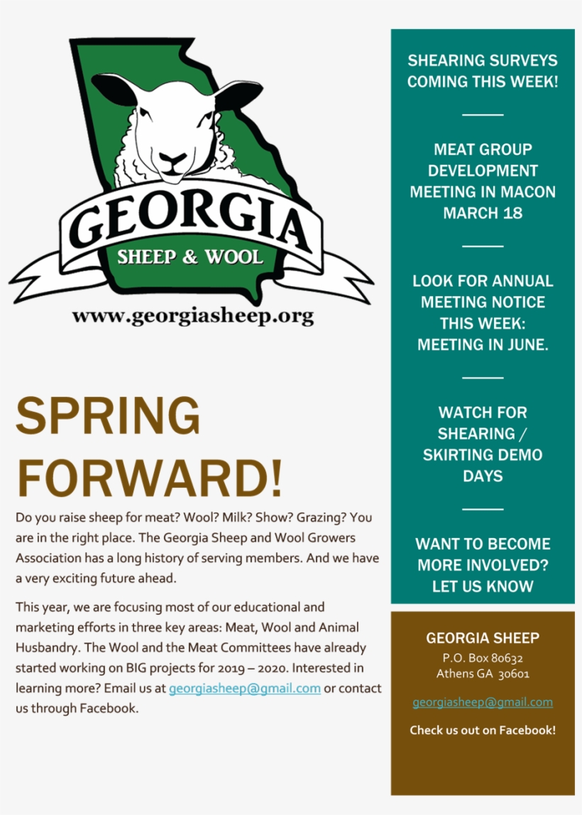 Georgia Sheep Events - Flyer, transparent png download