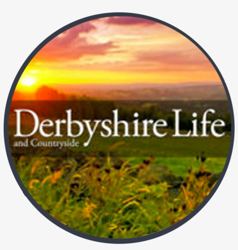 Circle, transparent png download