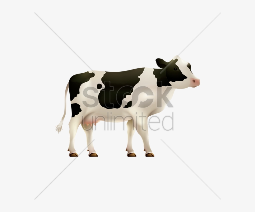 Cow Vector Png - Dairy Cow, transparent png download