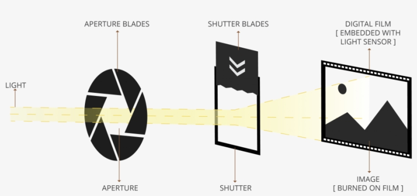 Mechanism Of A Dslr - Diagram, transparent png download