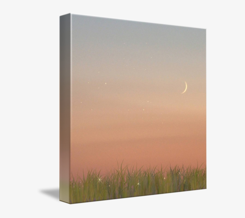 Mkc Photography Field Of Stars Canvas - Grass, transparent png download