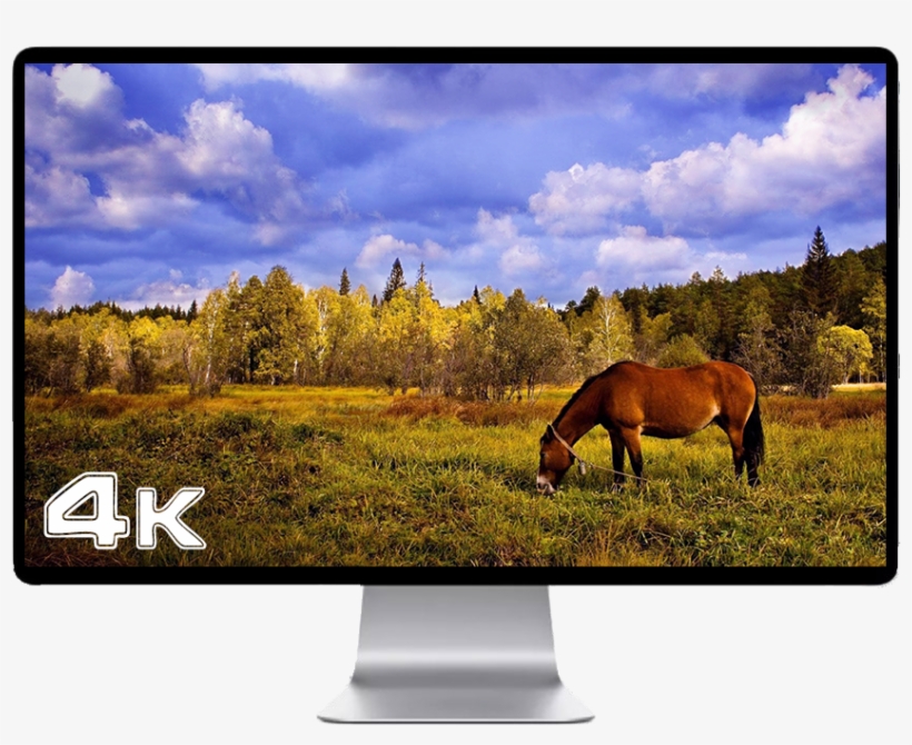 Score 50% - Wallpaper, transparent png download