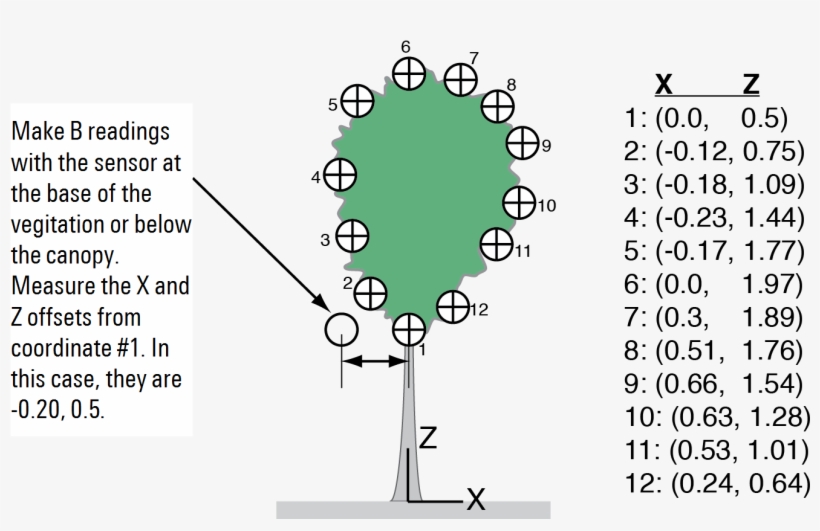 Software To Compute Distances And Lai For The Shrub - Diagram, transparent png download