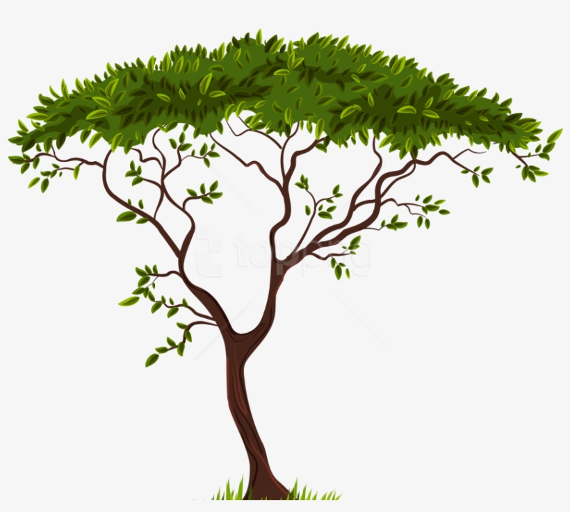 Free Png Download Exotic Tree Clipart Png Photo Png - Transparent Background Trees Clipart, transparent png download