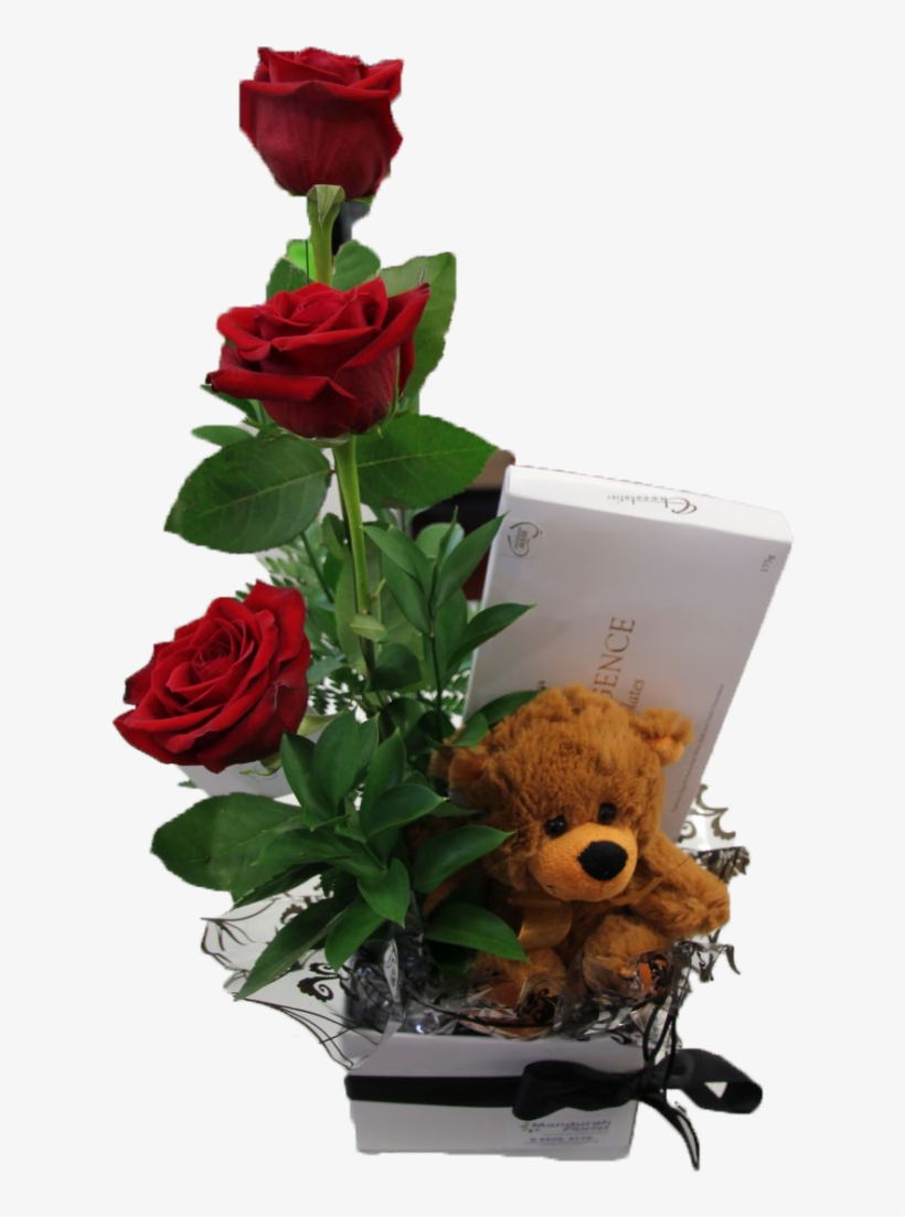 A-teddy And I Love You - Garden Roses, transparent png download