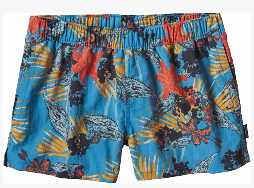 A12 - パタゴニア バギー ズ ショーツ 2017, transparent png download