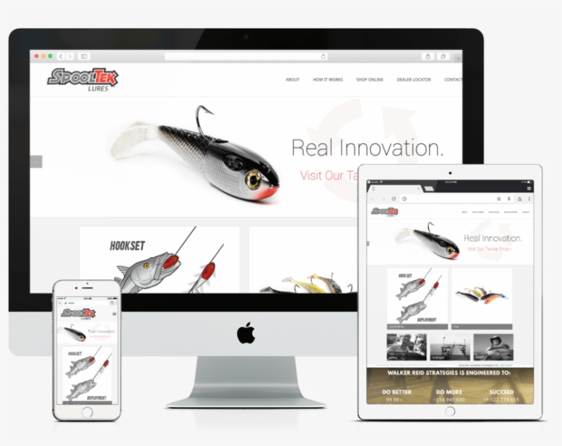 Wordpress, & Woocommerce Development - Fish, transparent png download