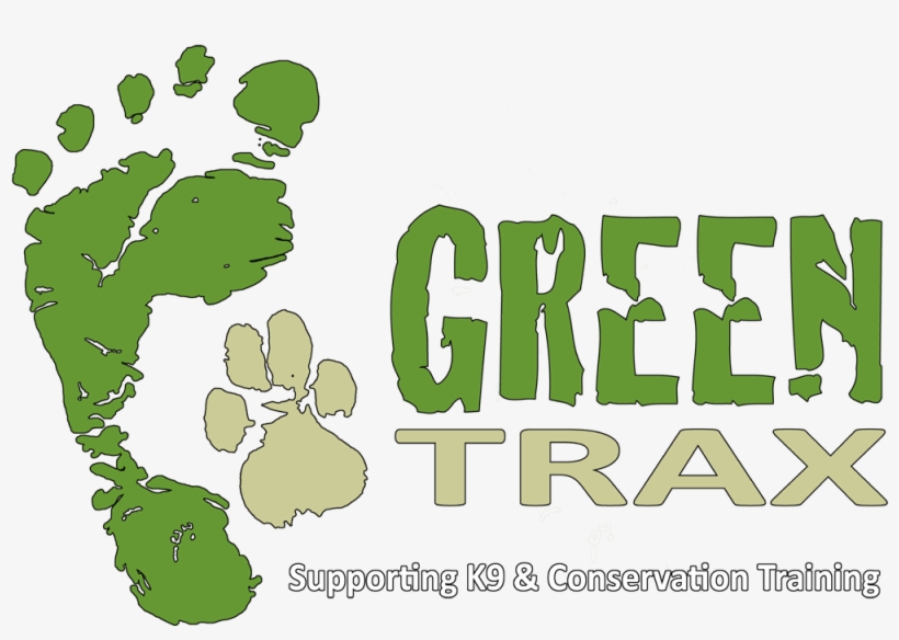Green Trax - Caramba Spectacles, transparent png download
