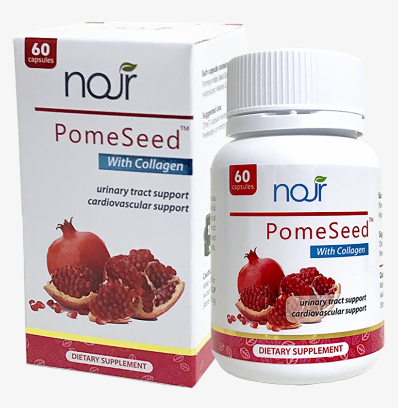 Completepspng - Pomegranate, transparent png download