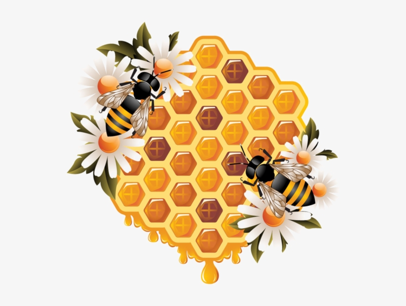 Ϧees ‿✿⁀ Bee Free, Bee Happy, Winnie, Honeycomb - Flower Honey Bee Clip, transparent png download