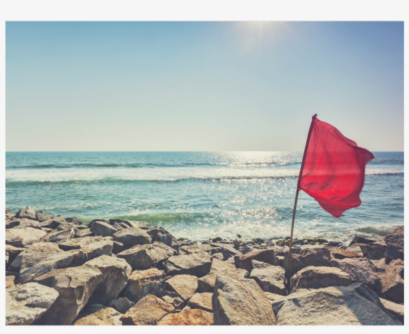 During The Job Search, We Know The Importance Of Being - Flag, transparent png download