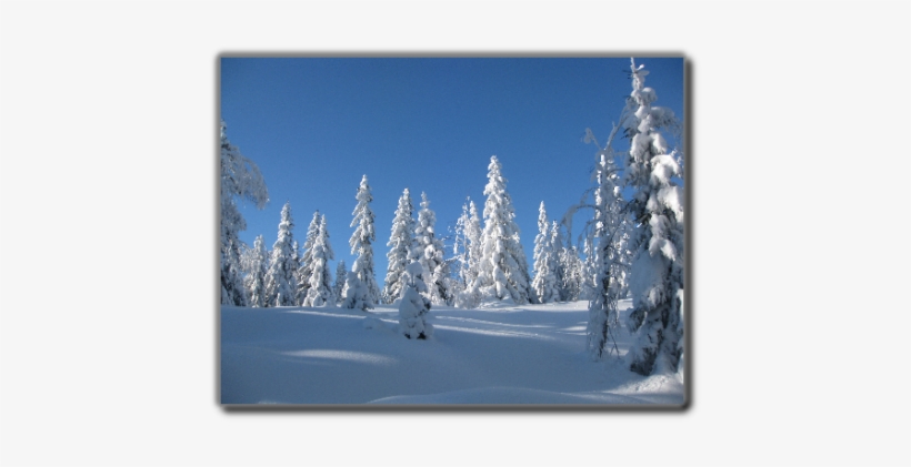 Snow, transparent png download