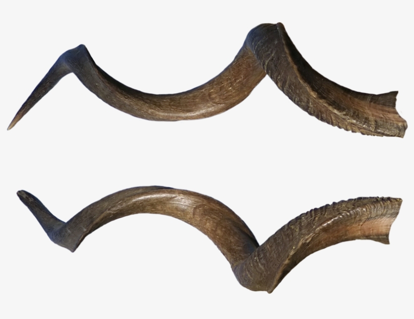 Peel N Stick Poster Of Ornamental Halloween Death Bones - Demon Horns, transparent png download