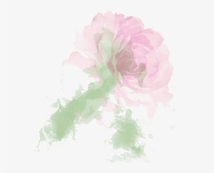 Mm Iii Thorn - Common Peony, transparent png download
