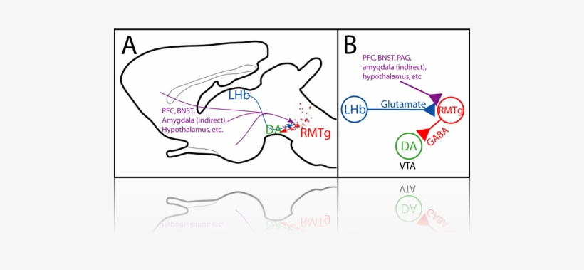 Circuit - Portable Network Graphics, transparent png download