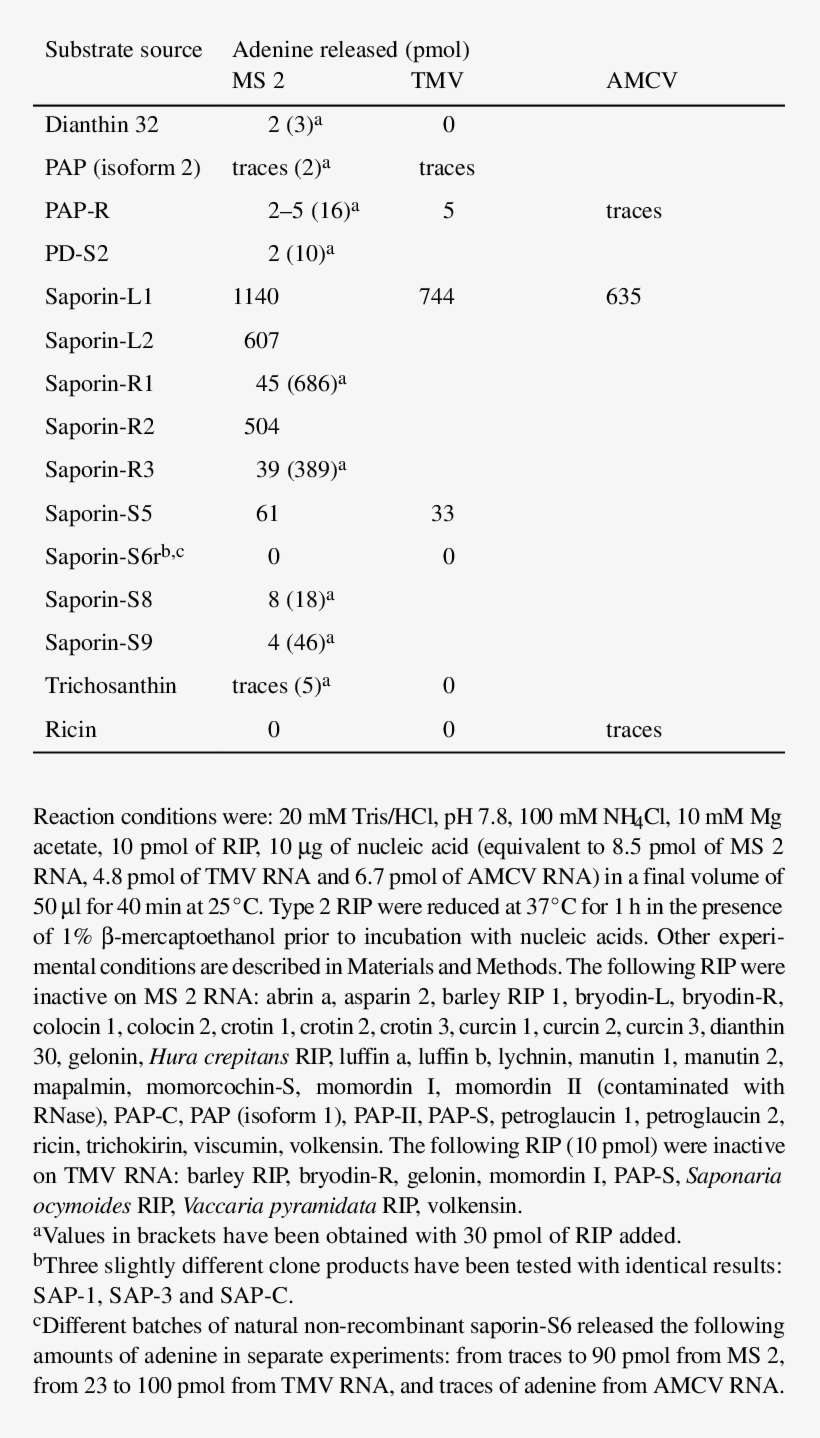 Effect Of Various Rip On Viral Genomic Rnas Of Ms 2, - Virus, transparent png download